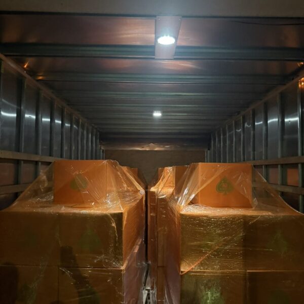 ace ultra premium bulk